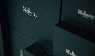 Mulberry green gifting bags