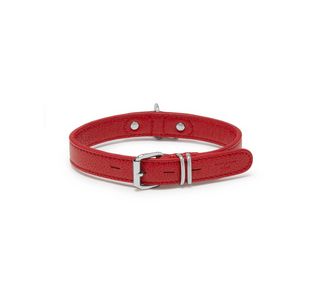 Mulberry best sale dog collar