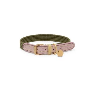 Mungo and best sale maud dog collar