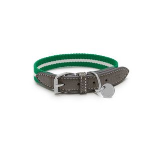 Mulberry dog hot sale collar