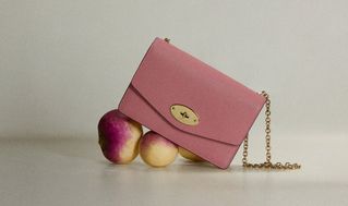 Mulberry small Darley satchel bag in light pink leather
