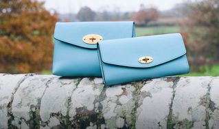 Mulberry Darley wallet and darley cosmetic pouch in brighton blue leather