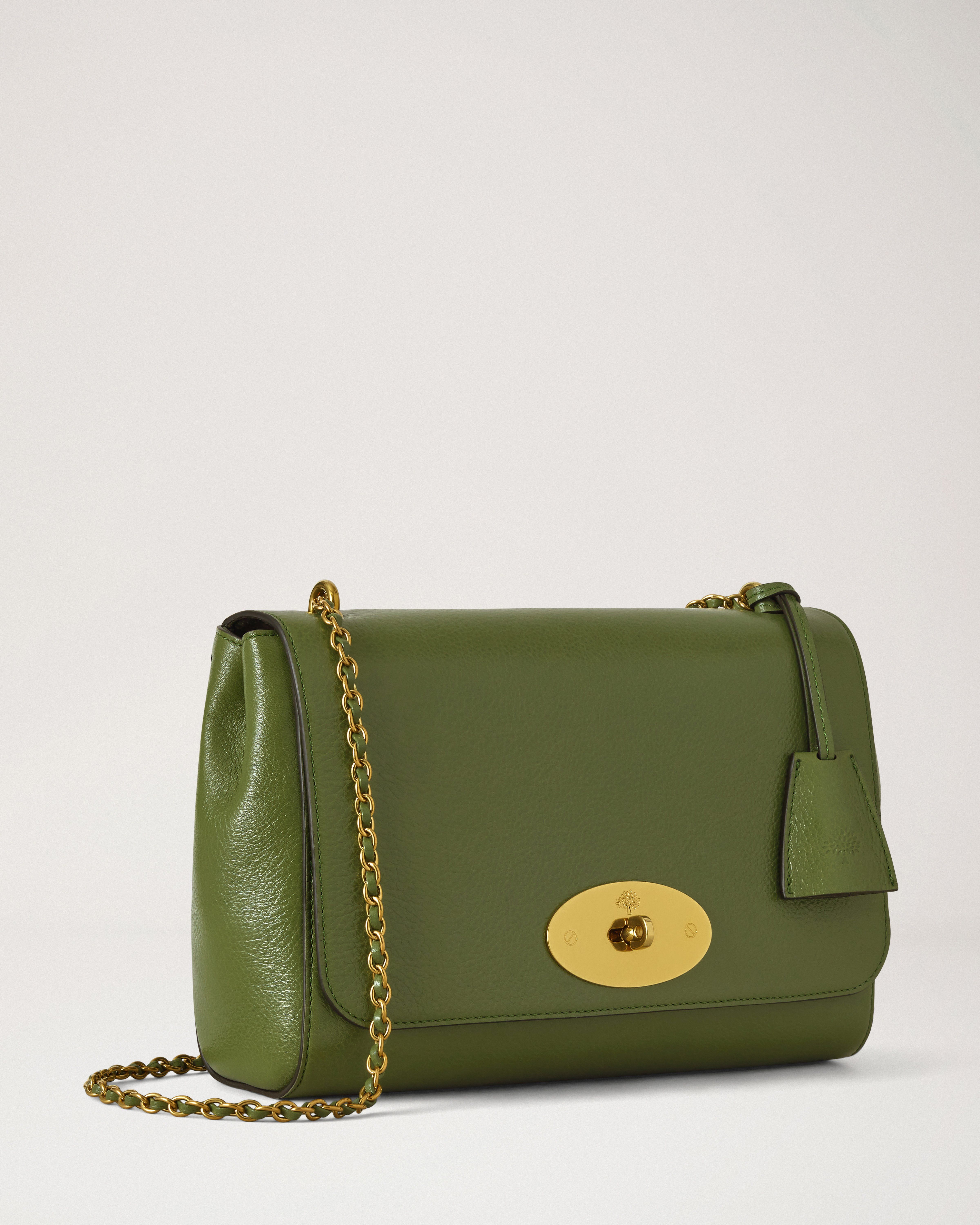 Mulberry | Medium Lily | Fern High Shine Leather | Women