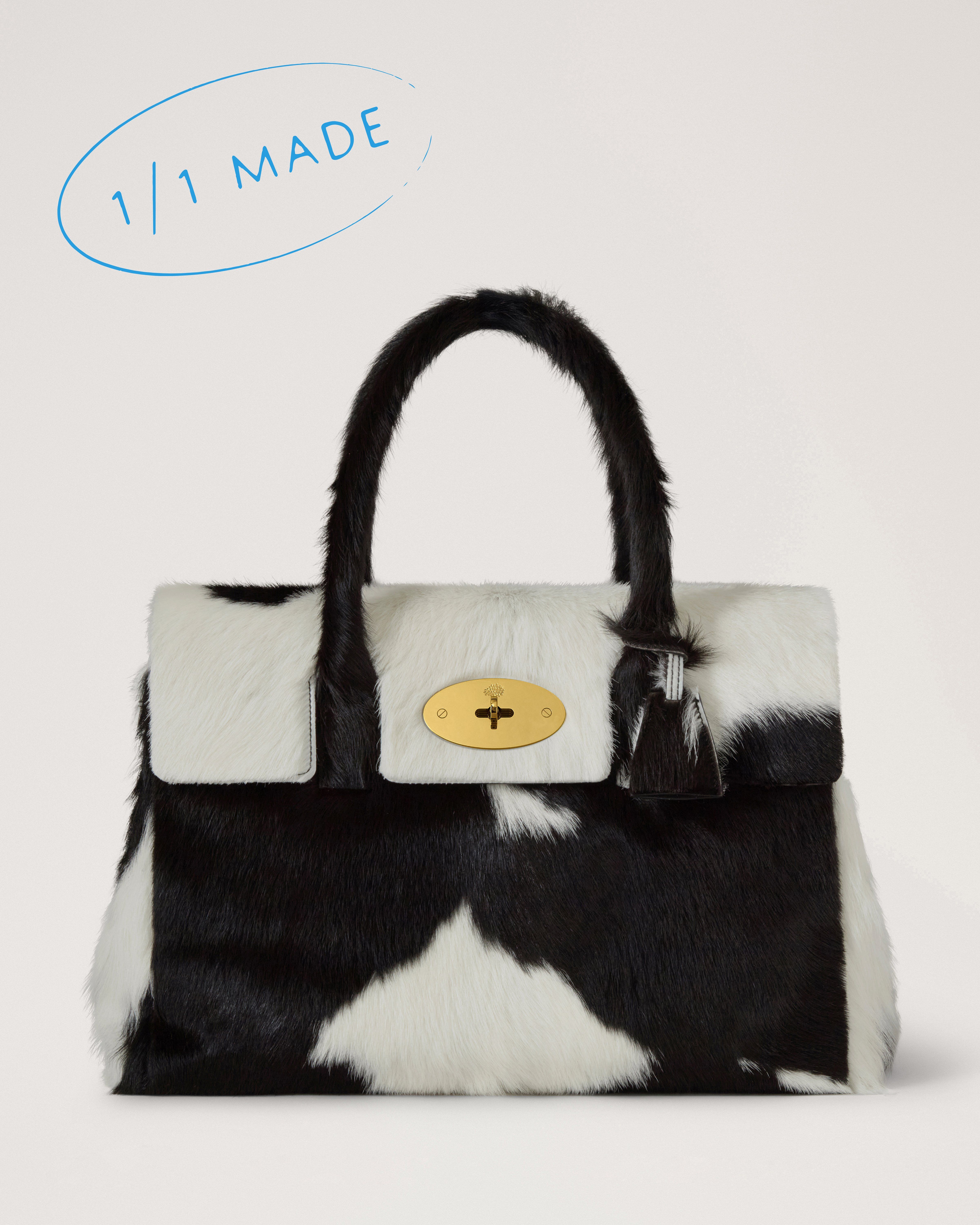 Bayswater Limited Edition