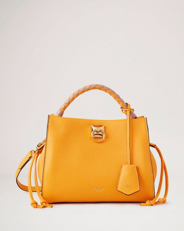 Mini iris best sale mulberry bag