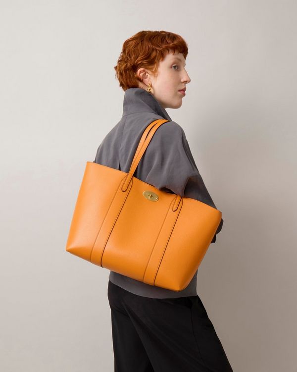 mulberry orange bayswater