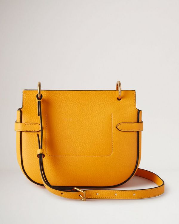 Small hot sale amberley satchel