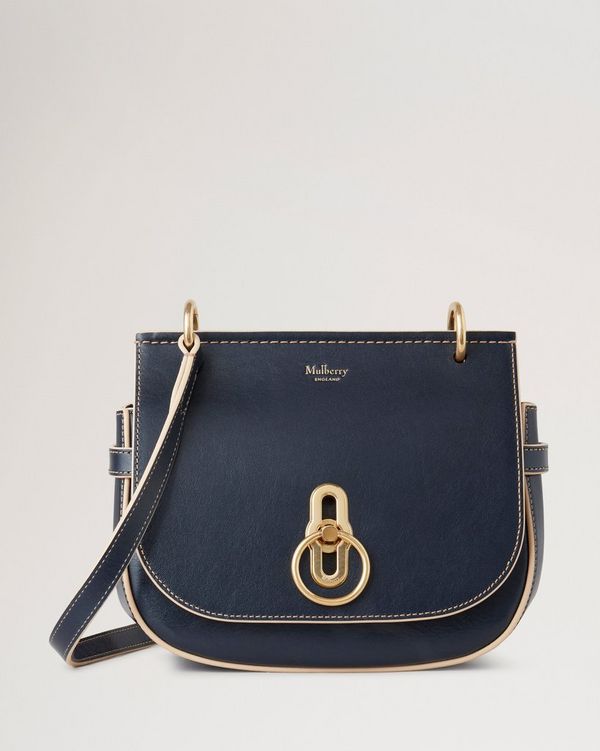 Mini amberley satchel on sale mulberry