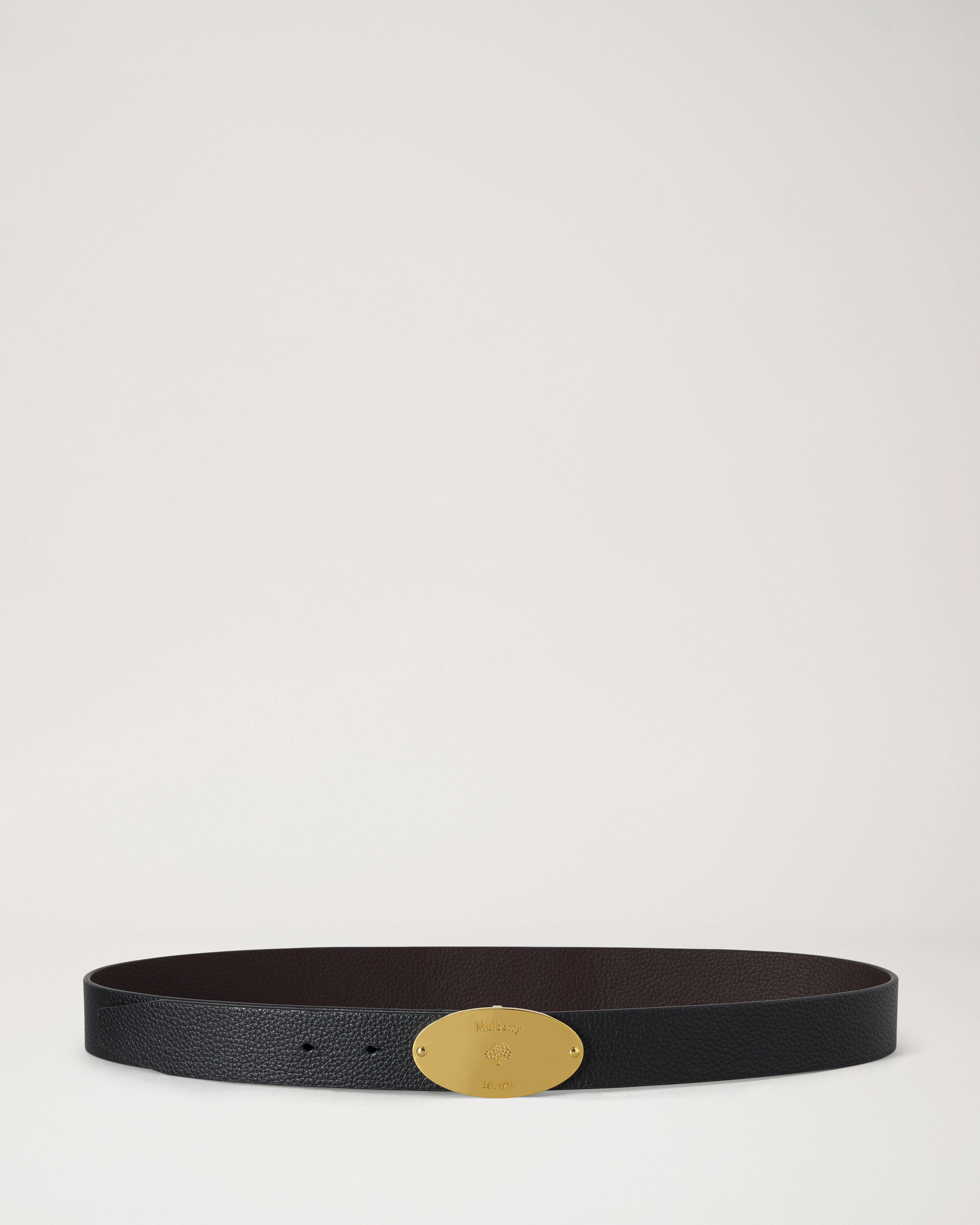 Reversible Plaque Belt