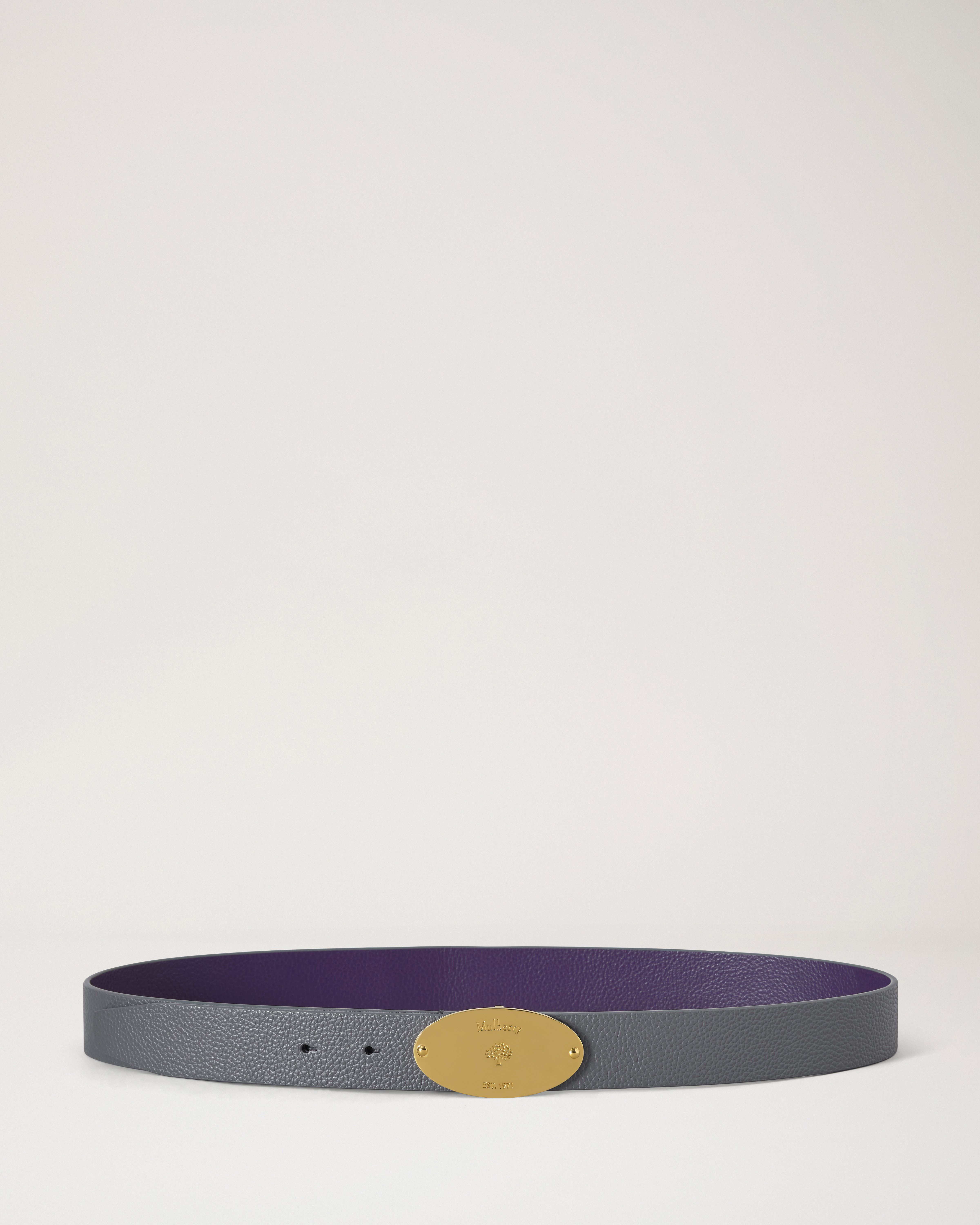 Reversible Plaque Belt