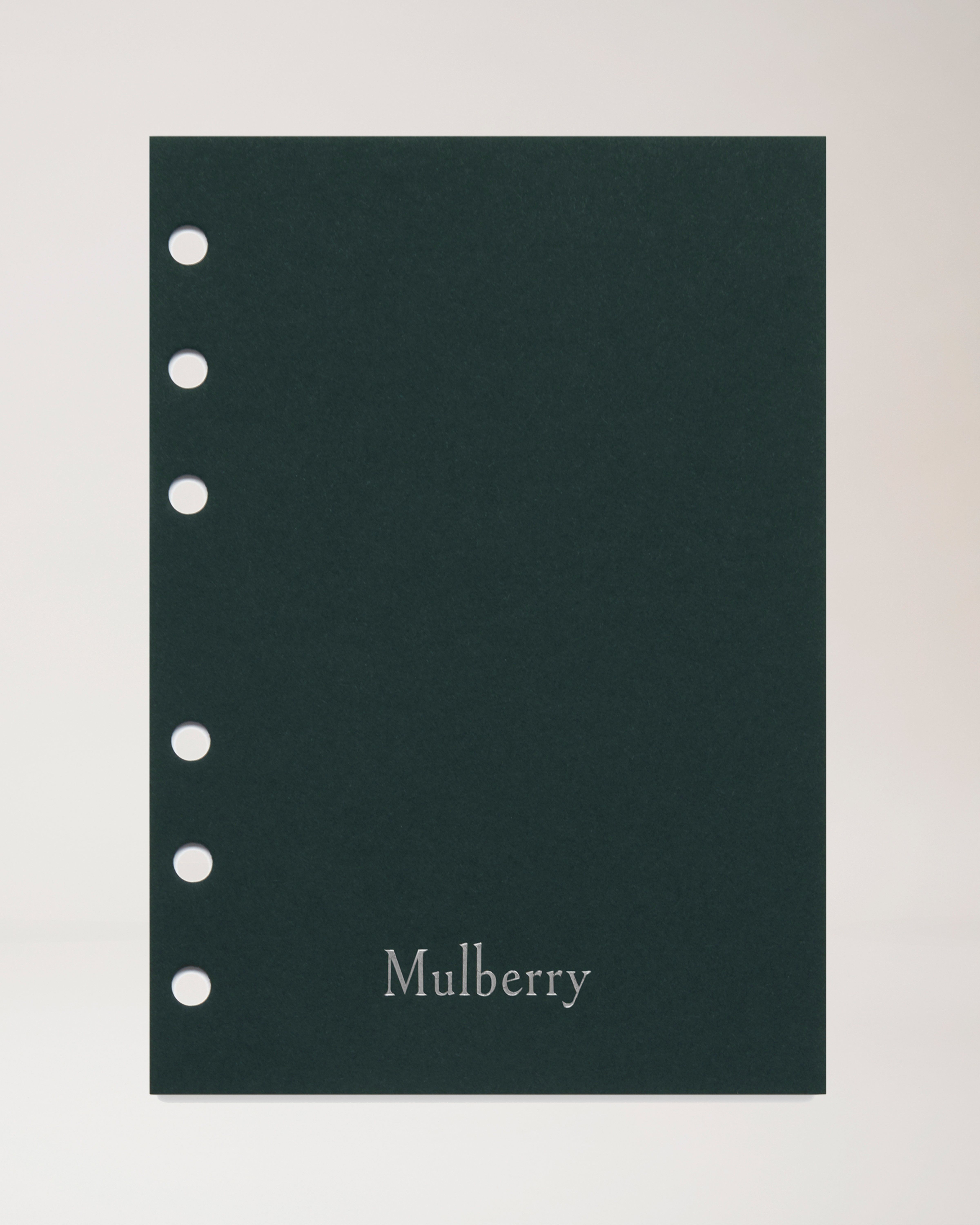 Week to View Diary Inserts 2024 Suitable for Mulberry (Middle Size