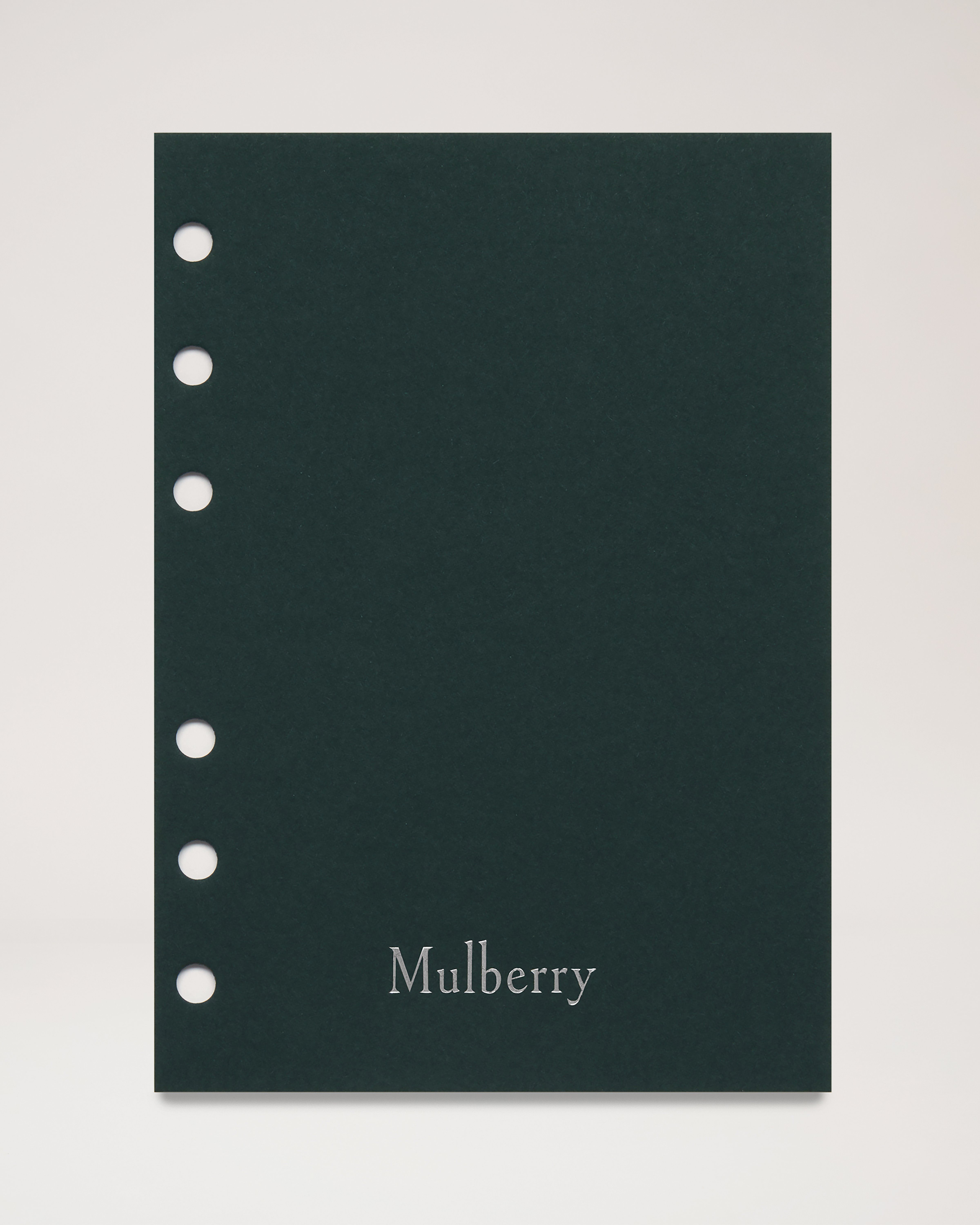 Agenda Ruled Paper Insert