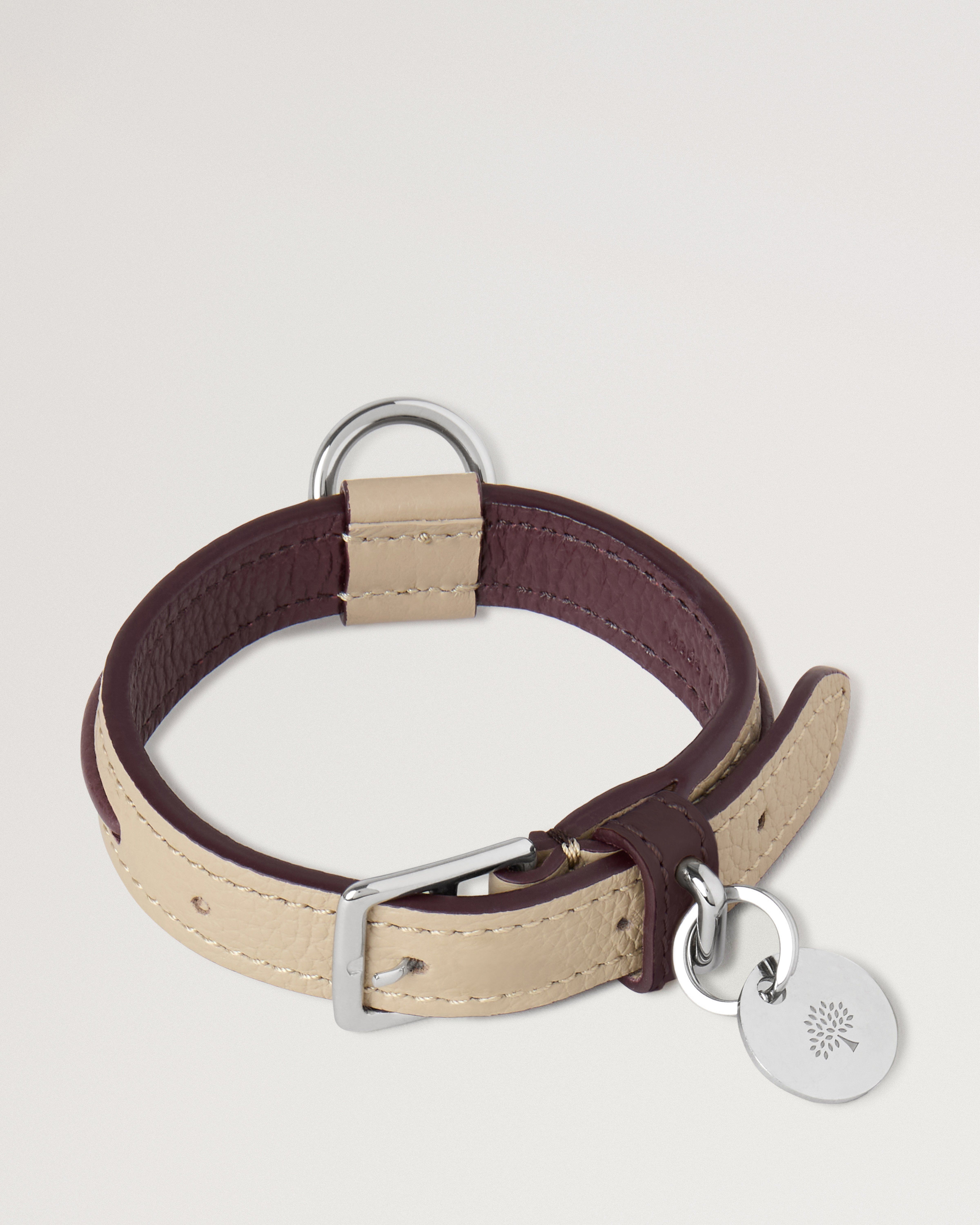 XS-Hundehalsband aus Leder