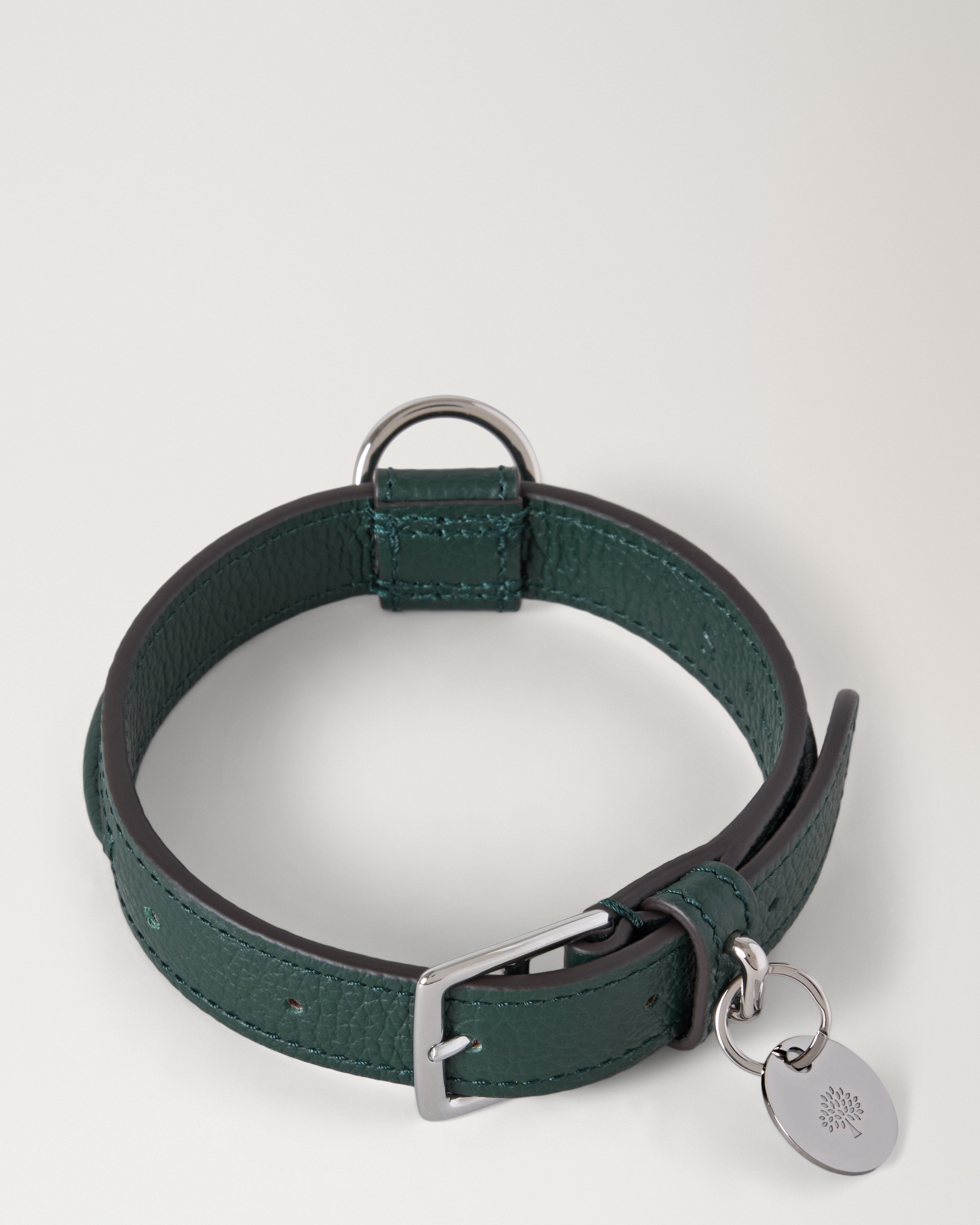 Kleines Hundehalsband aus Leder