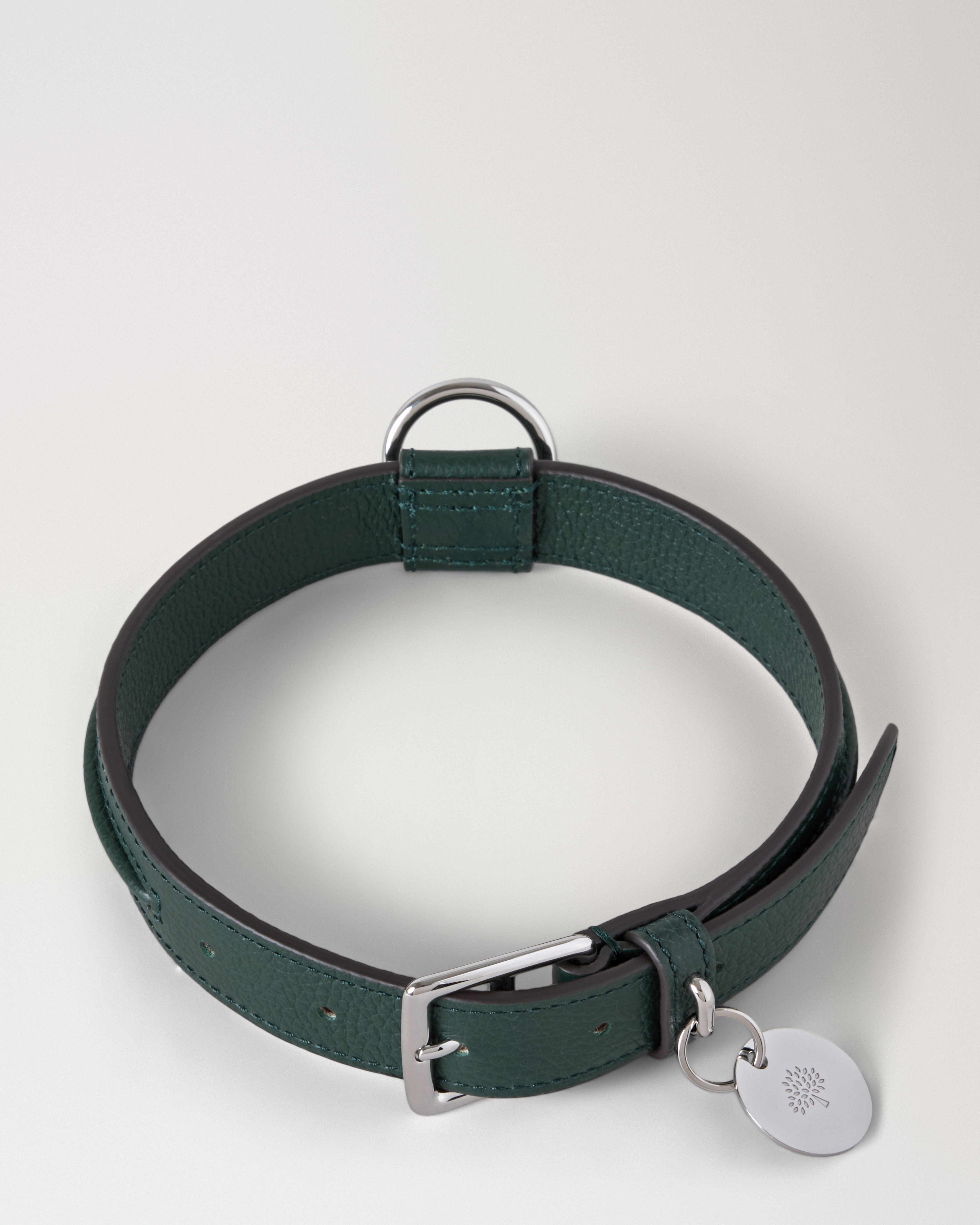 Medium Leather Dog Collar