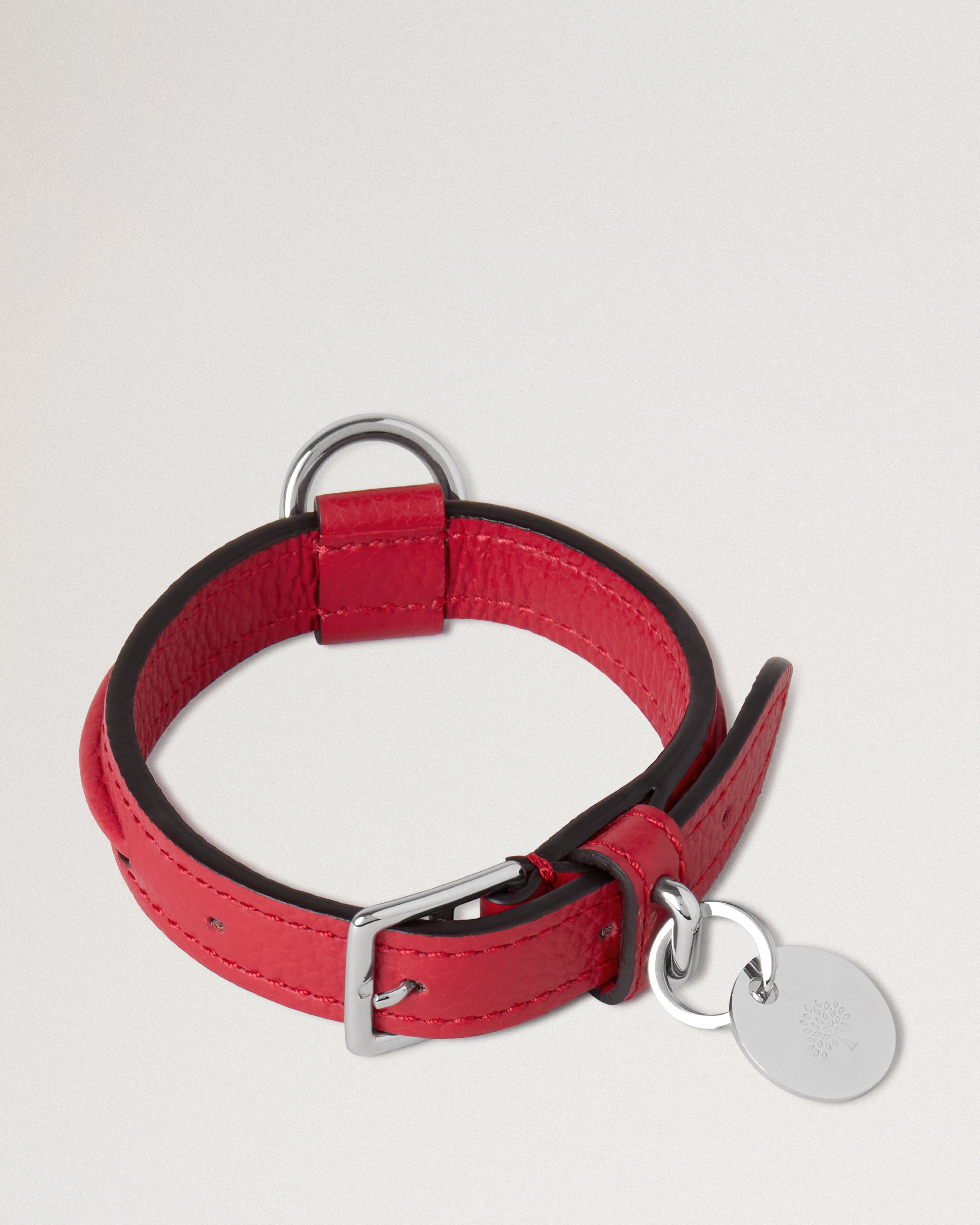 XS-Hundehalsband aus Leder