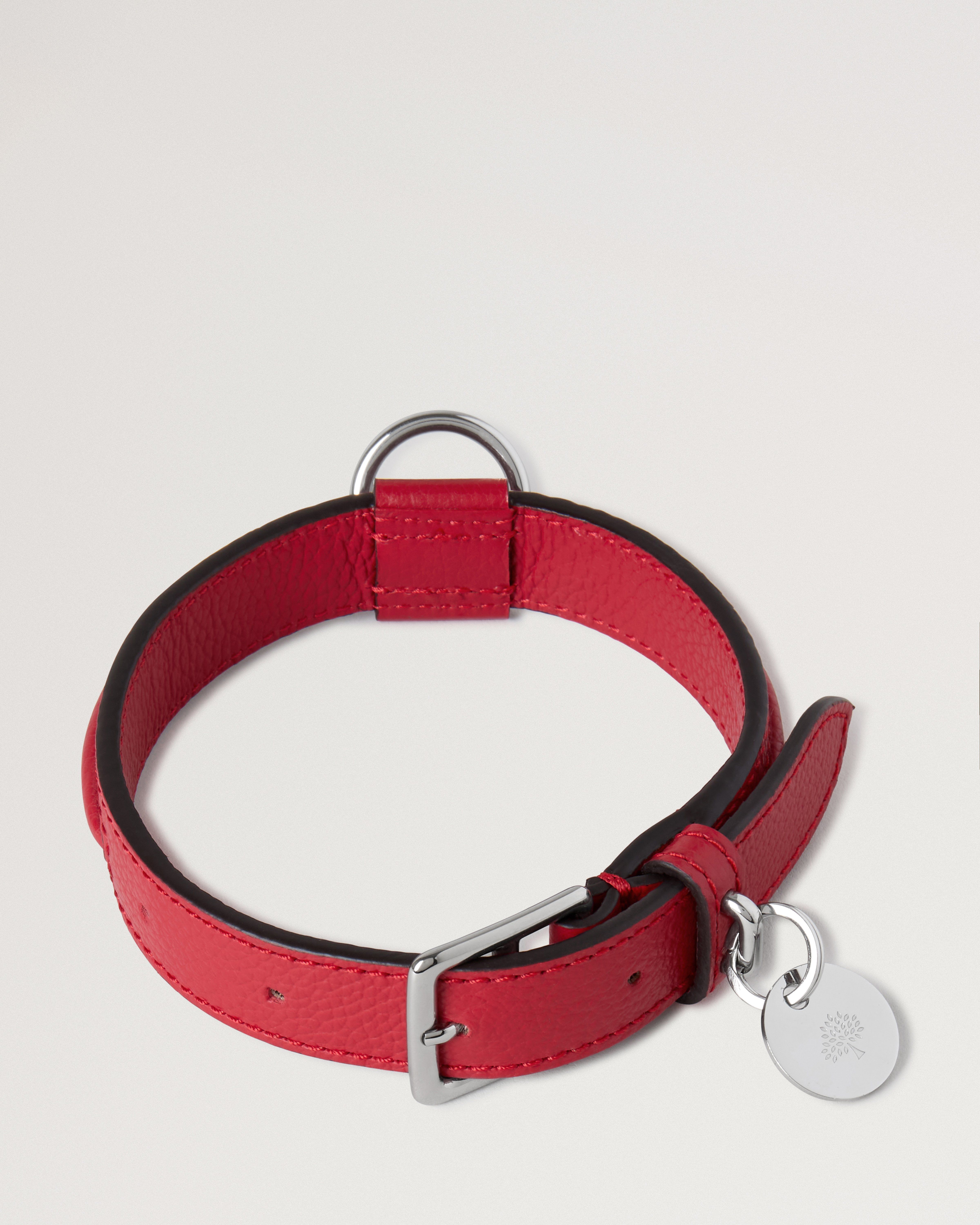 Small Leather Dog Collar