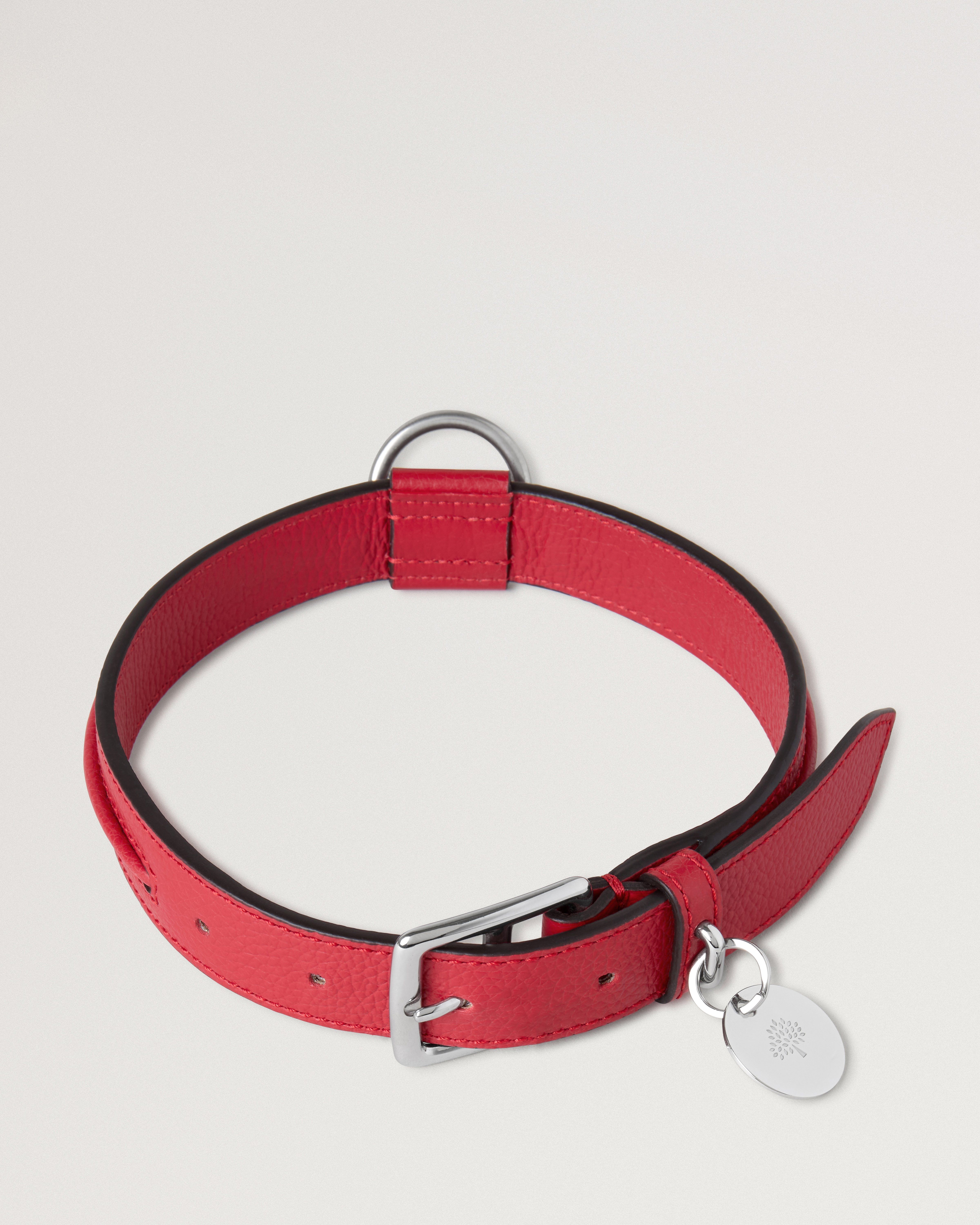 Medium Leather Dog Collar