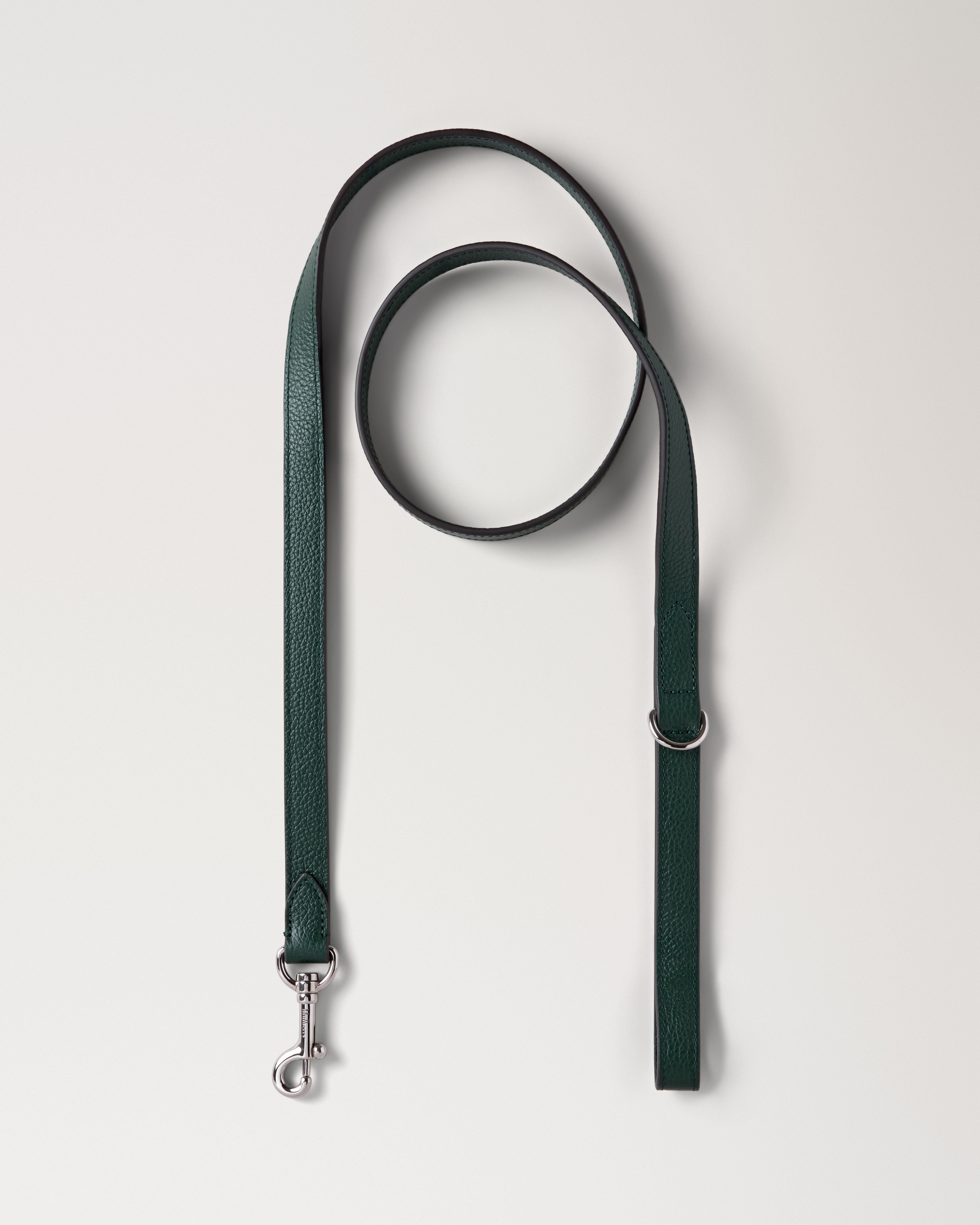 Handheld Dog Leash