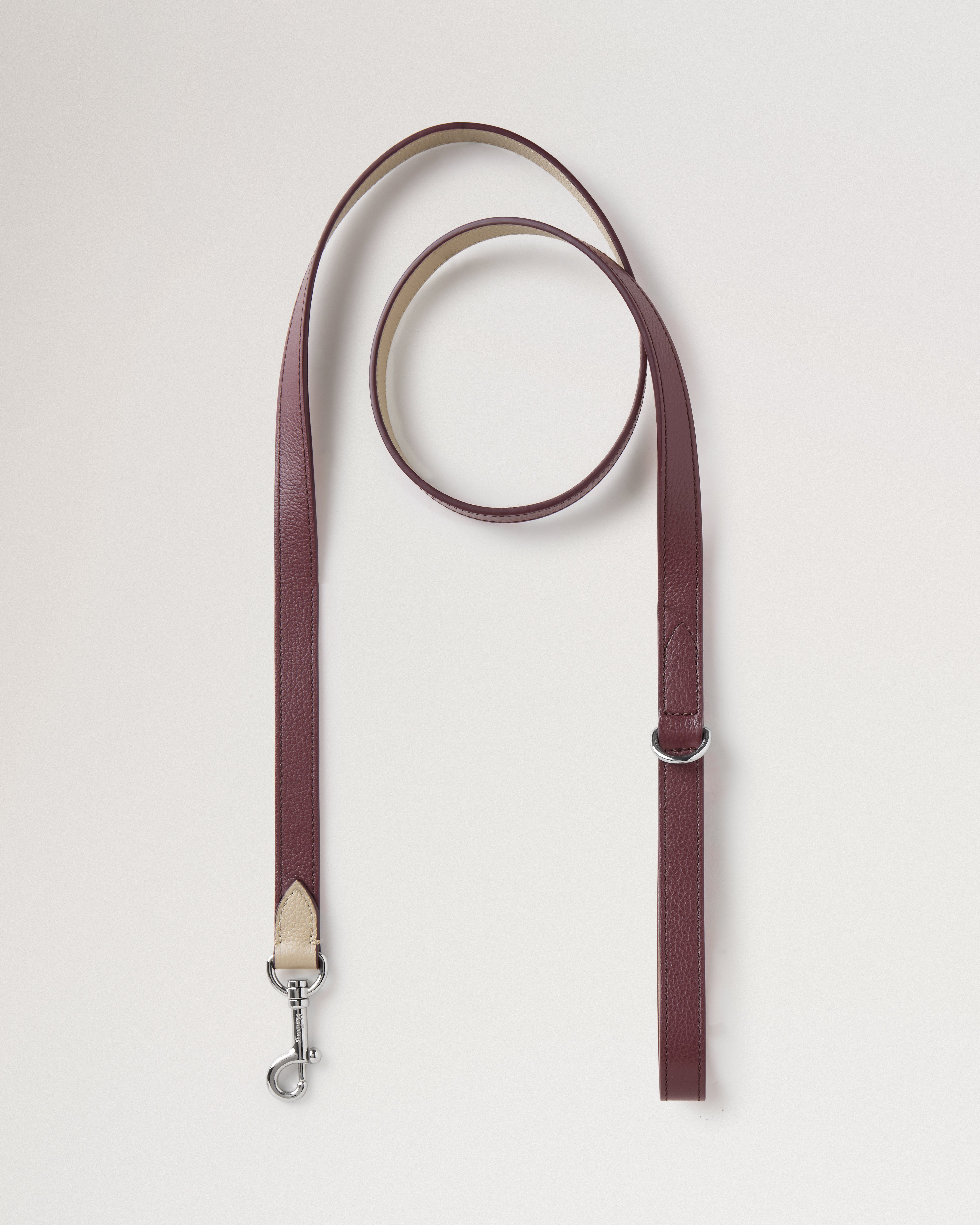 Handheld Dog Leash