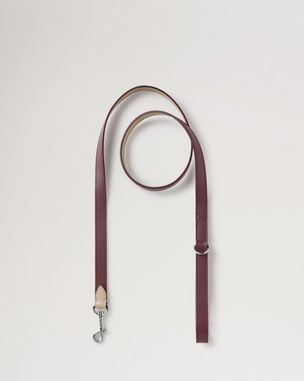 handheld-dog-leash-dune-oxblood-small-classic-grain