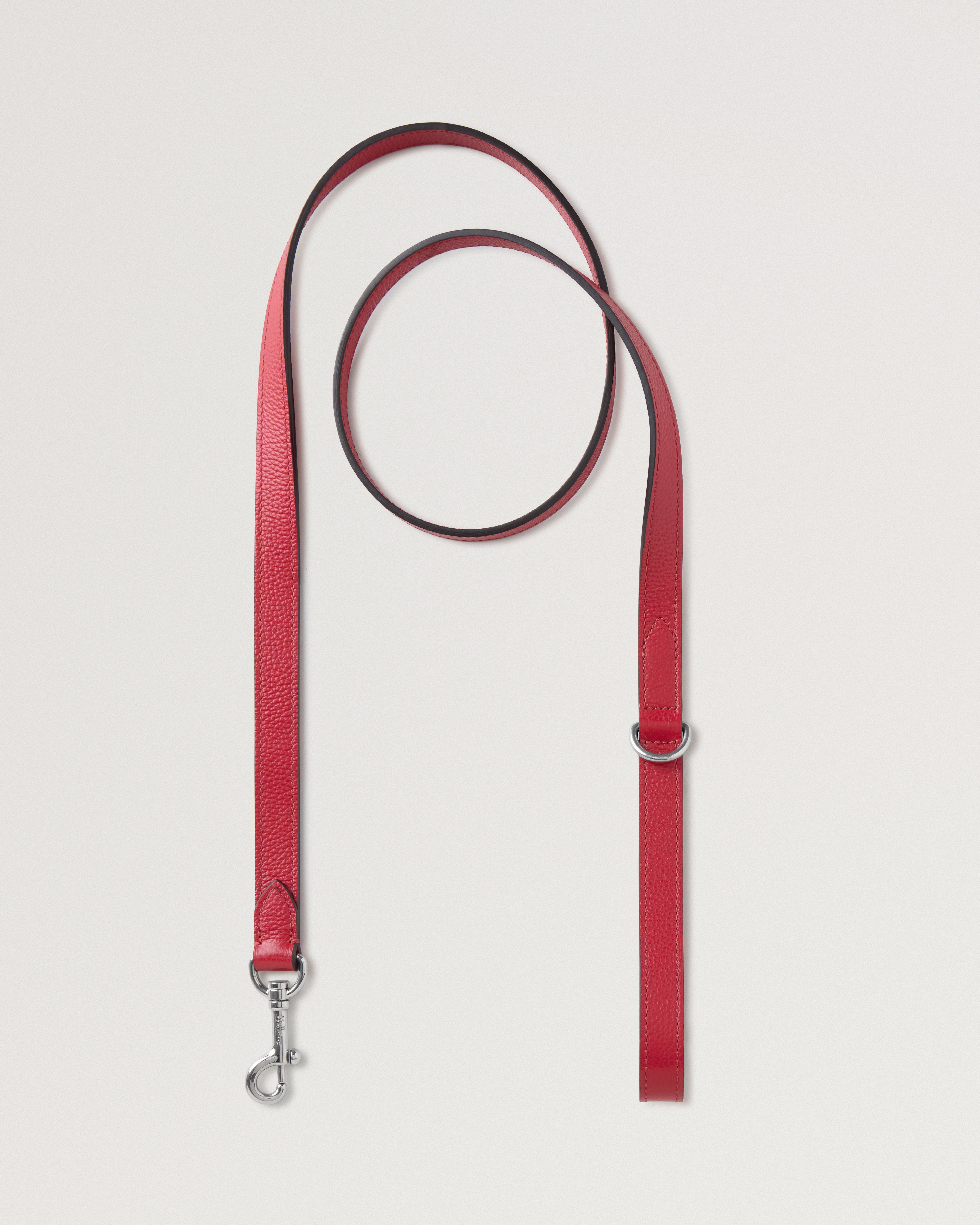 Handheld Dog Leash