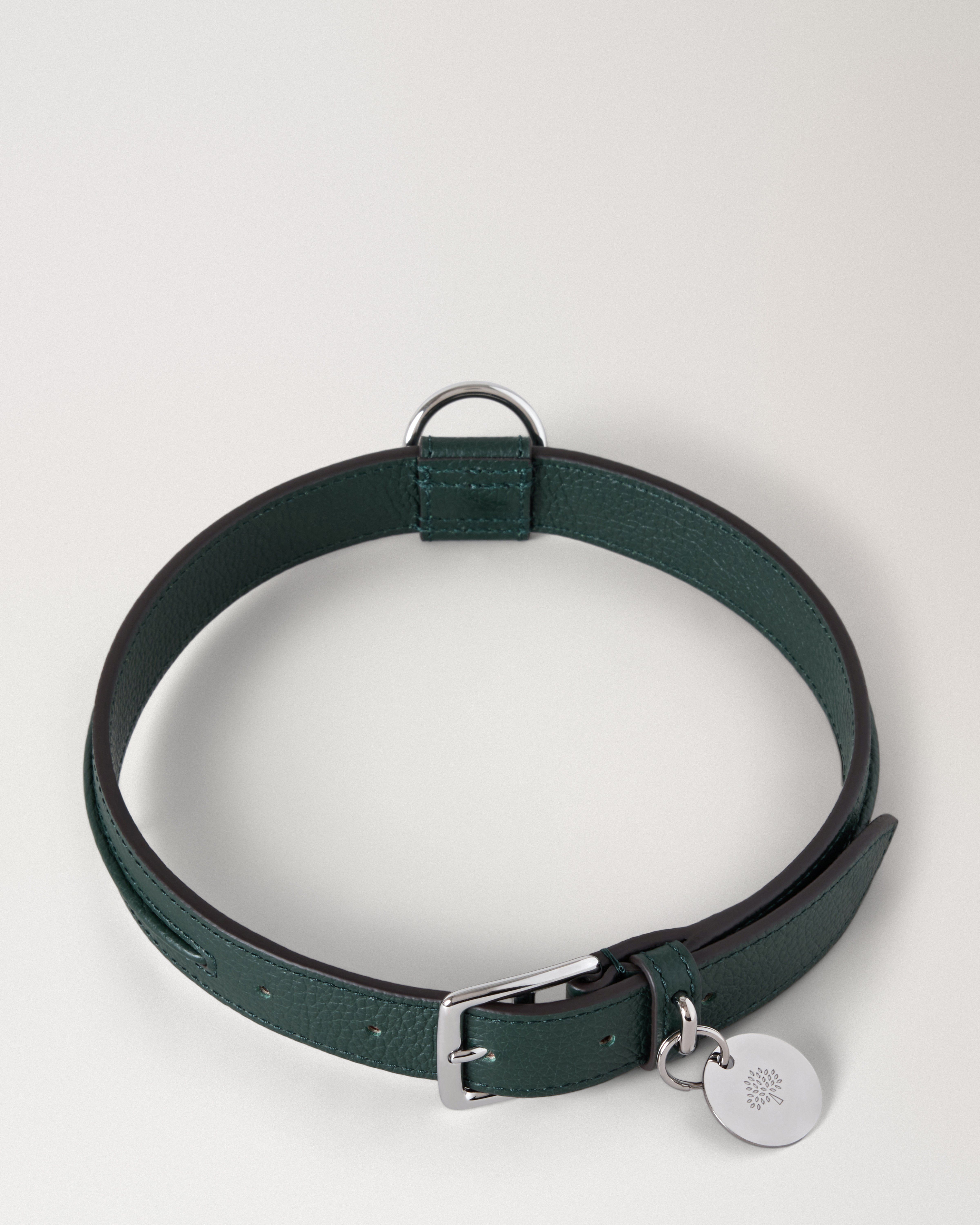 Großes Hundehalsband aus Leder