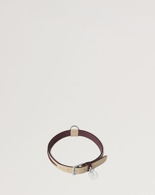 large-leather-dog-collar-dune-oxblood-small-classic-grain