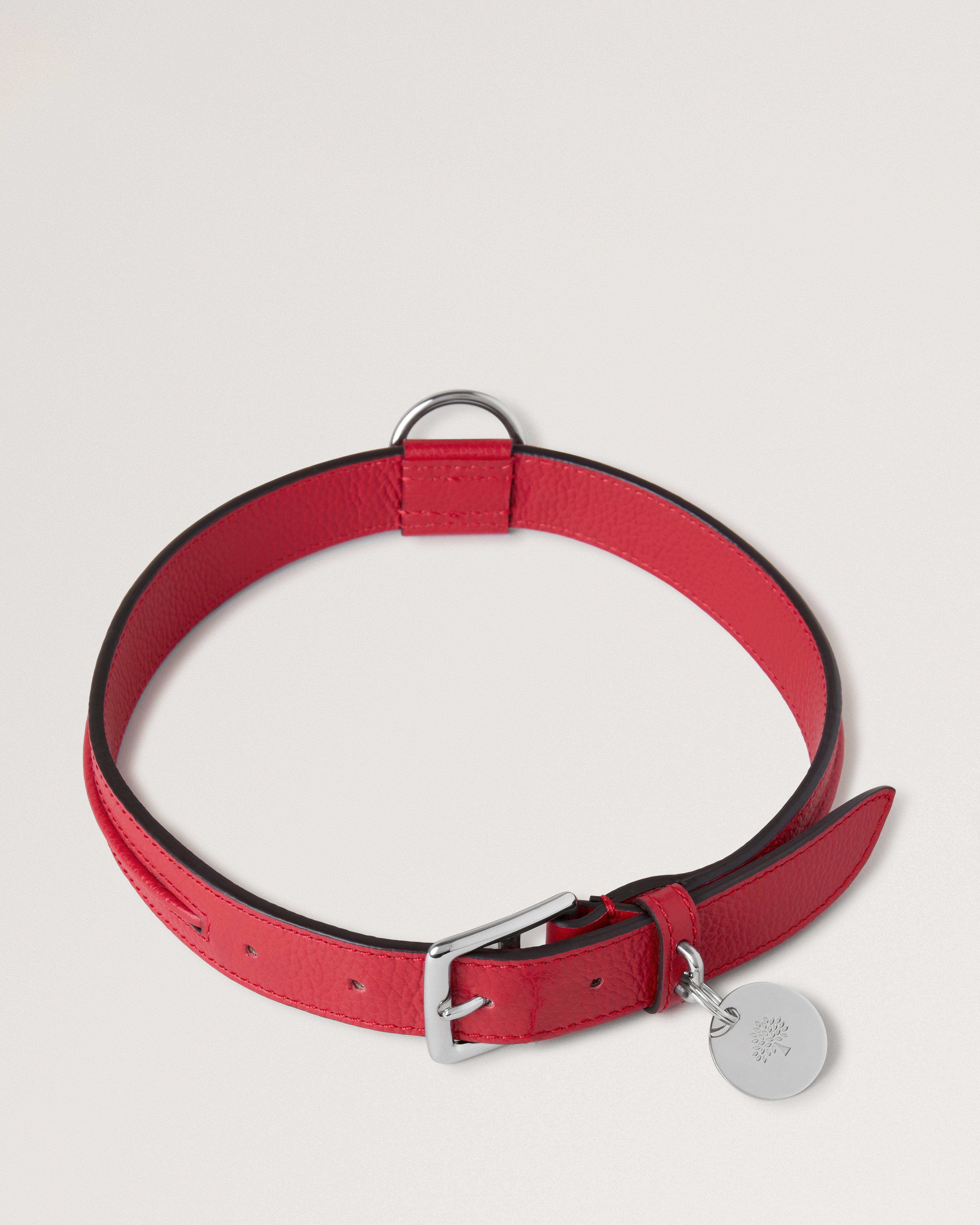 Large Leather Dog Collar