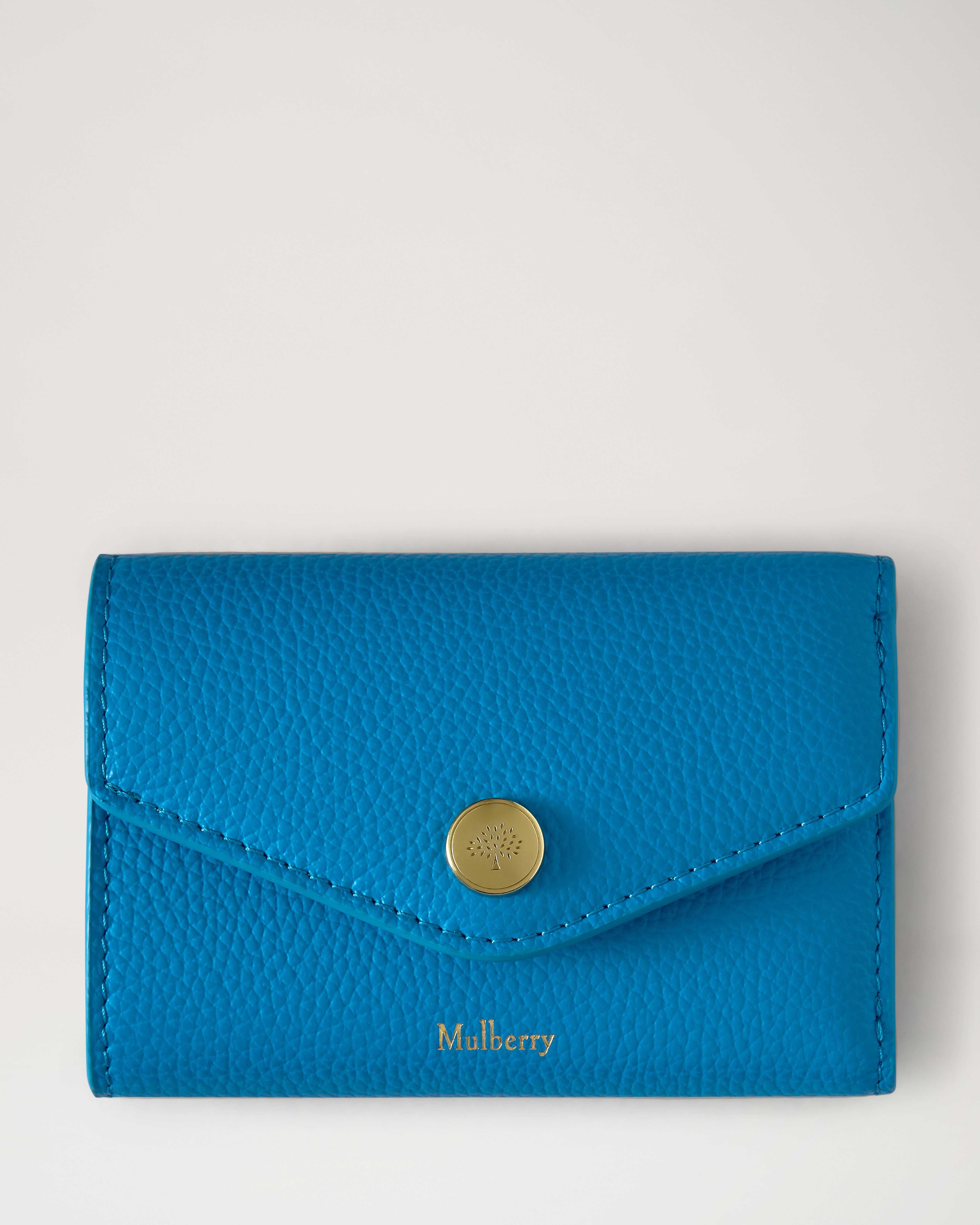 Folded Multi-Card Wallet