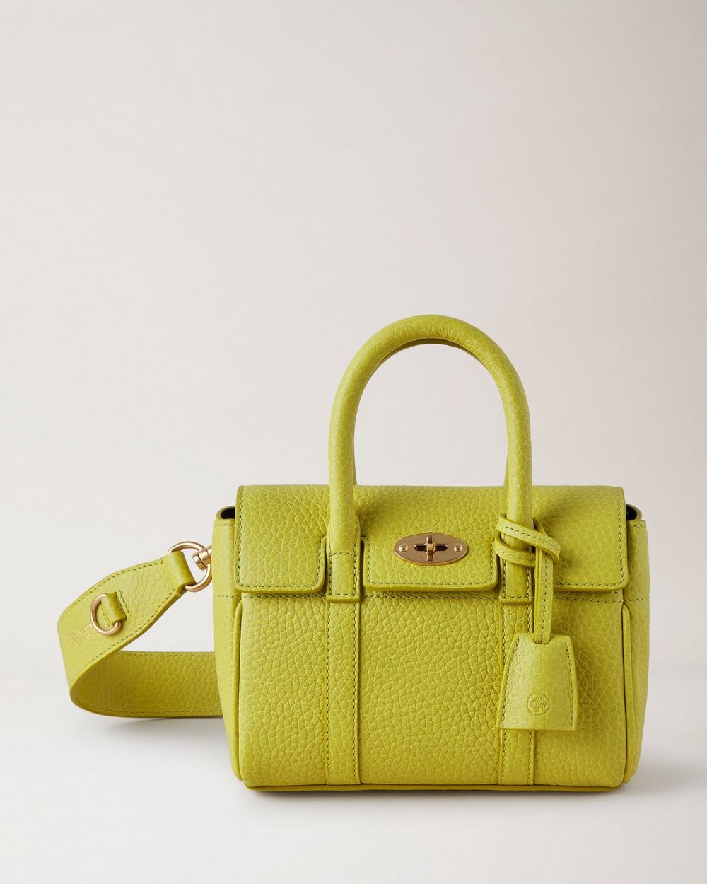 Mini Bayswater | Meadow Green Heavy Grain | Women | Mulberry