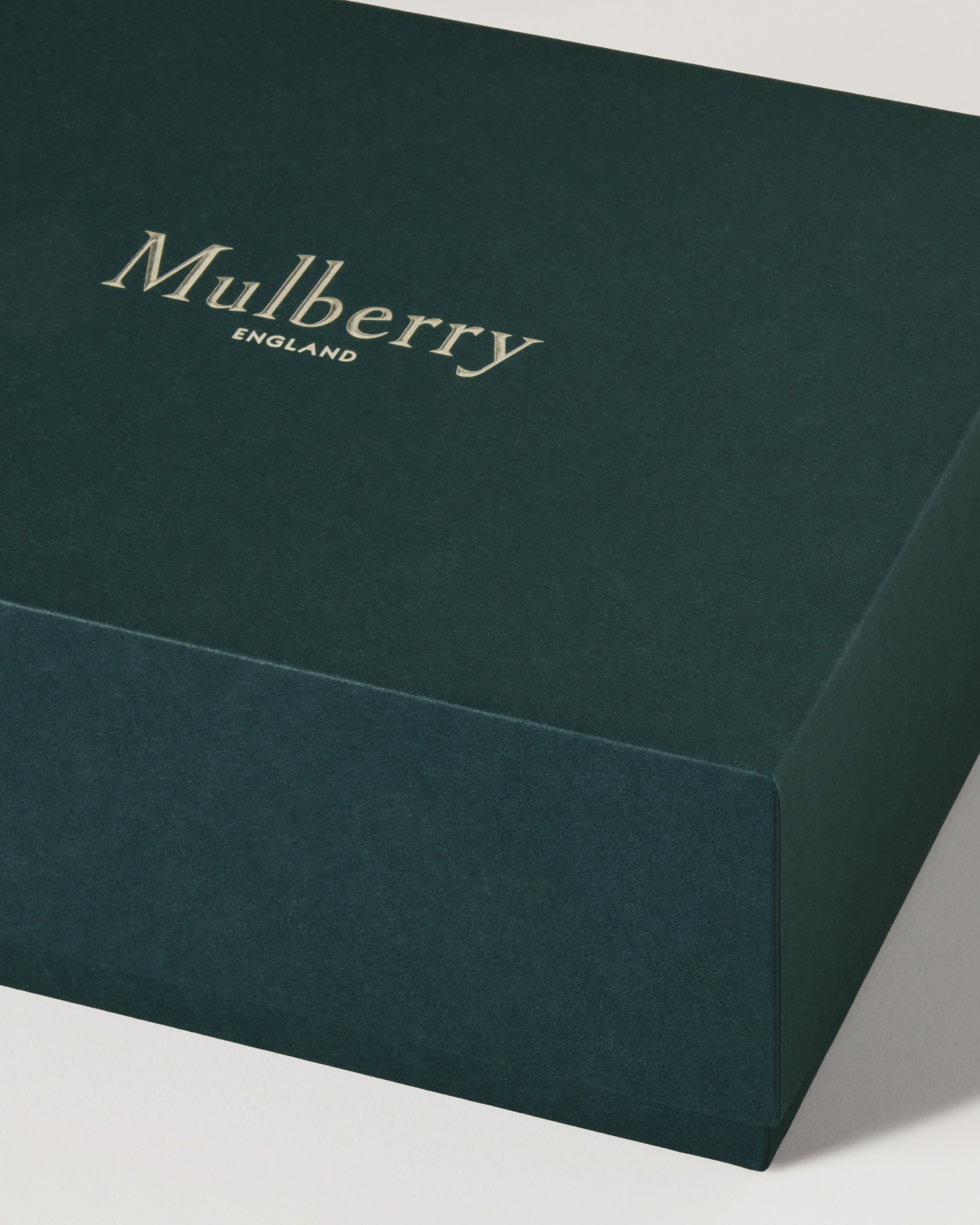 Mulberry | カード ホルダー | ブラック スモール クラシック グレイン