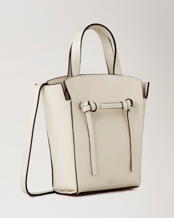 Celine mini hot sale tote bag