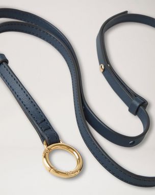 Lanyard