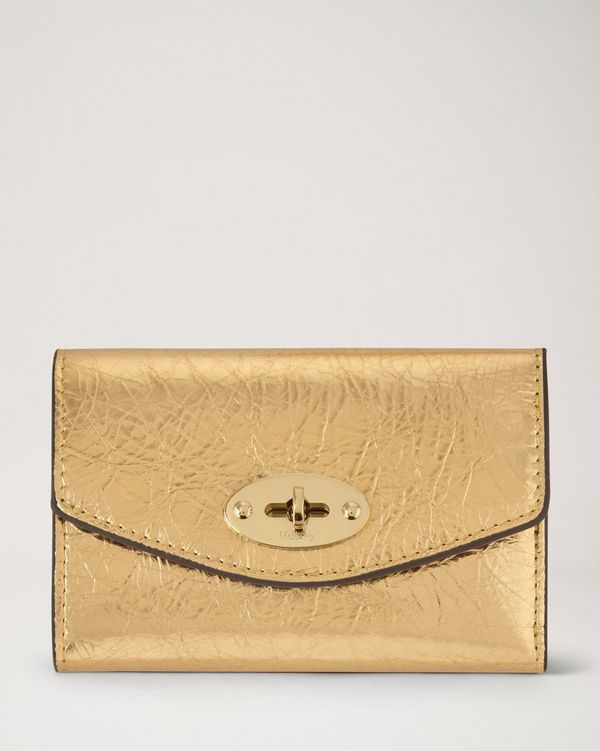 Mulberry | ダーリー フォールデッド マルチカード ウォレット | サマ