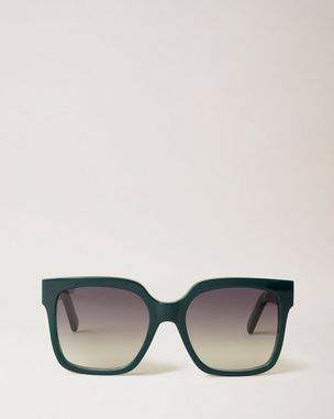 Kate spade discount caelyn sunglasses