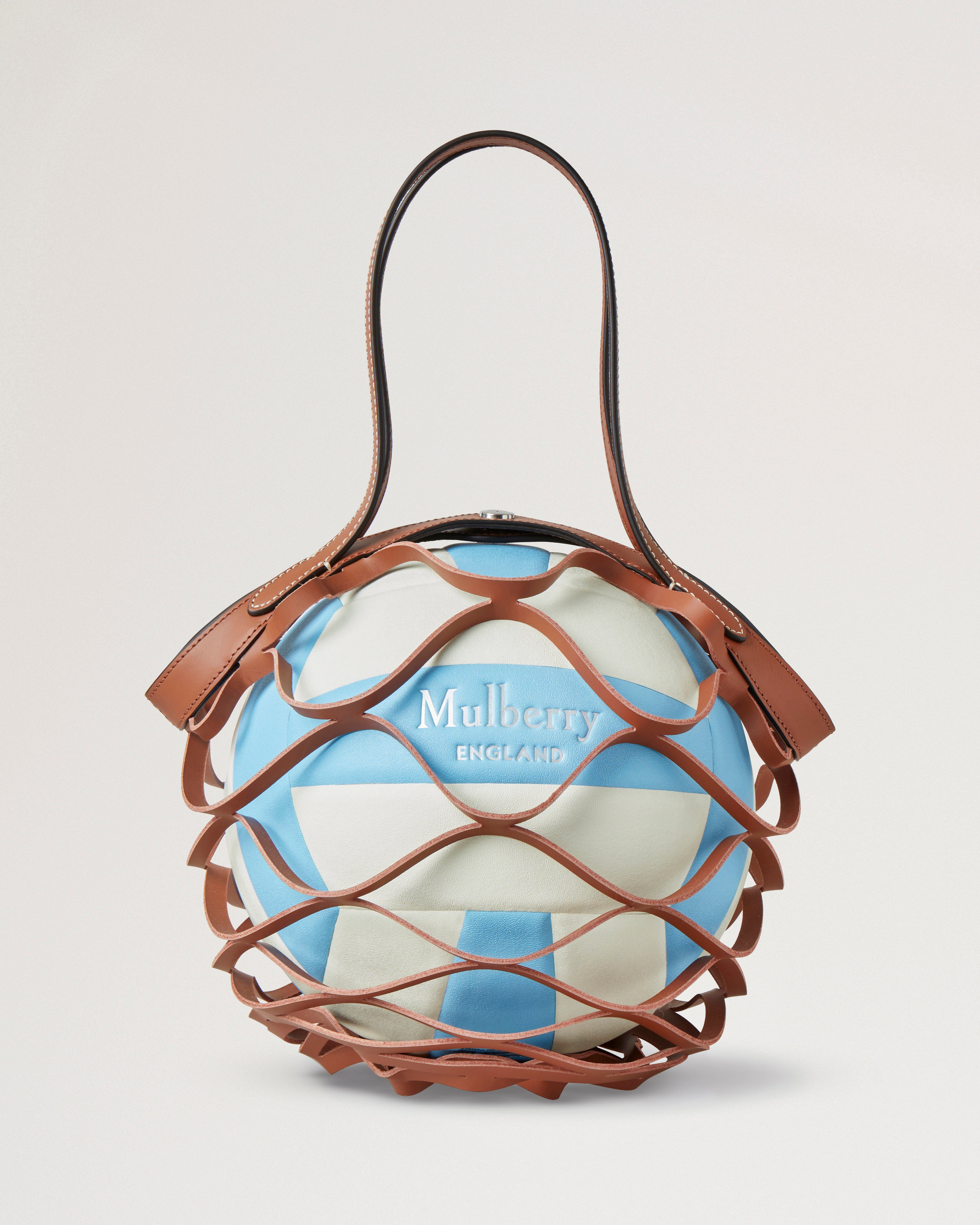 Volleyball with Leather Carrier