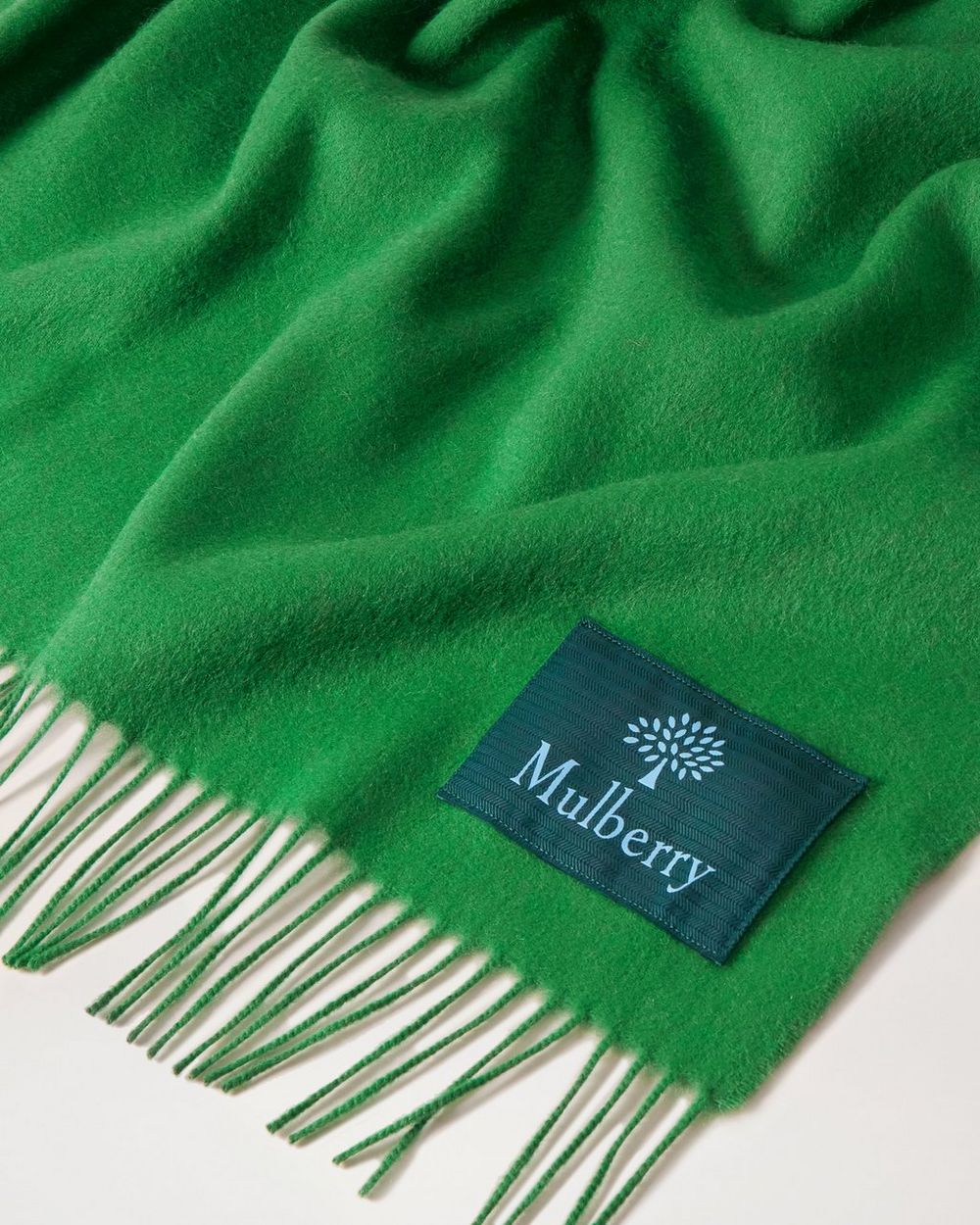 Solid Lambswool Scarf Lawn Green Lambswool Women Mulberry