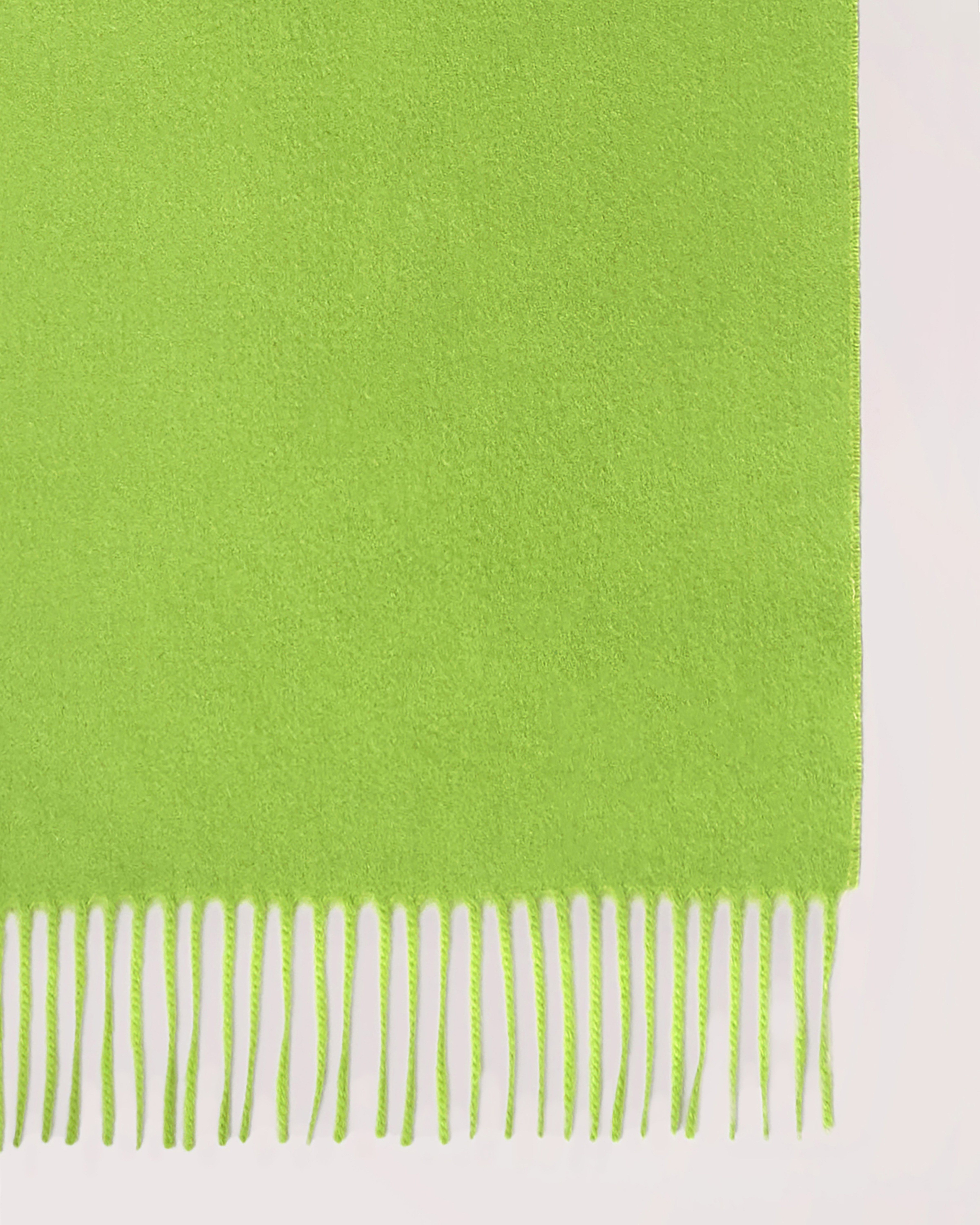 Cashmere Scarf Acid Green Cashmere Women Mulberry