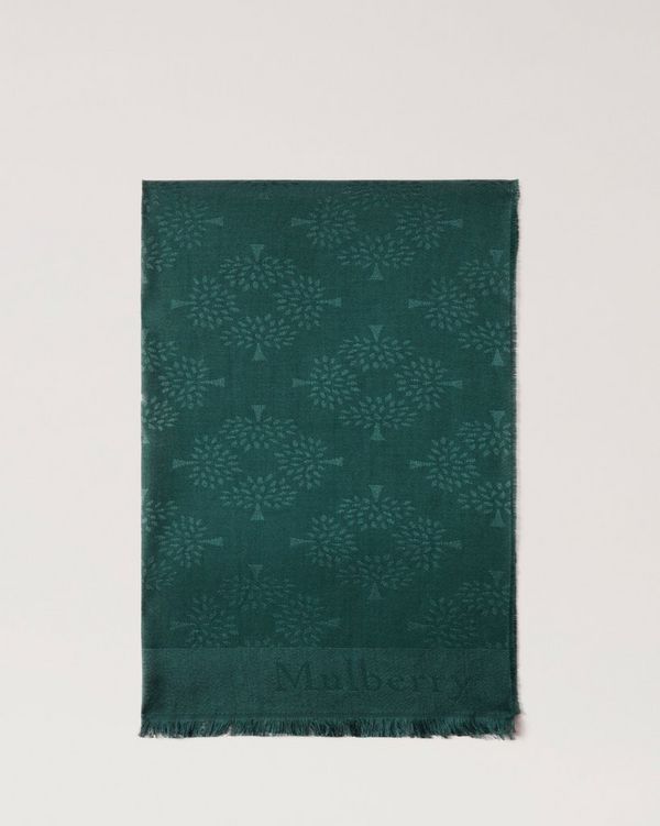 Women's Green Cashmere and Silk Wrap –