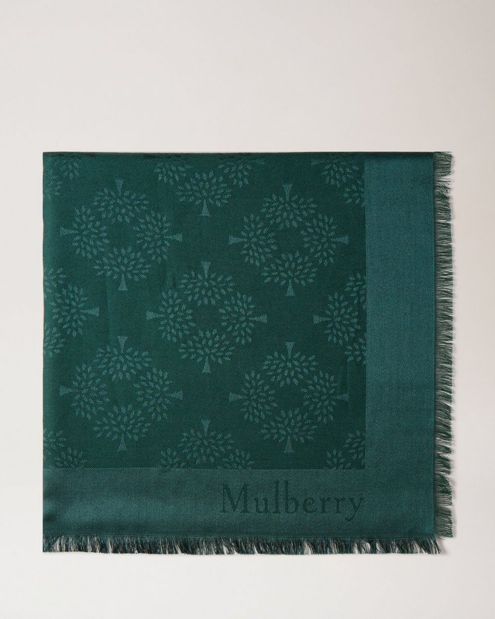 mulberry tree scarf cashmere