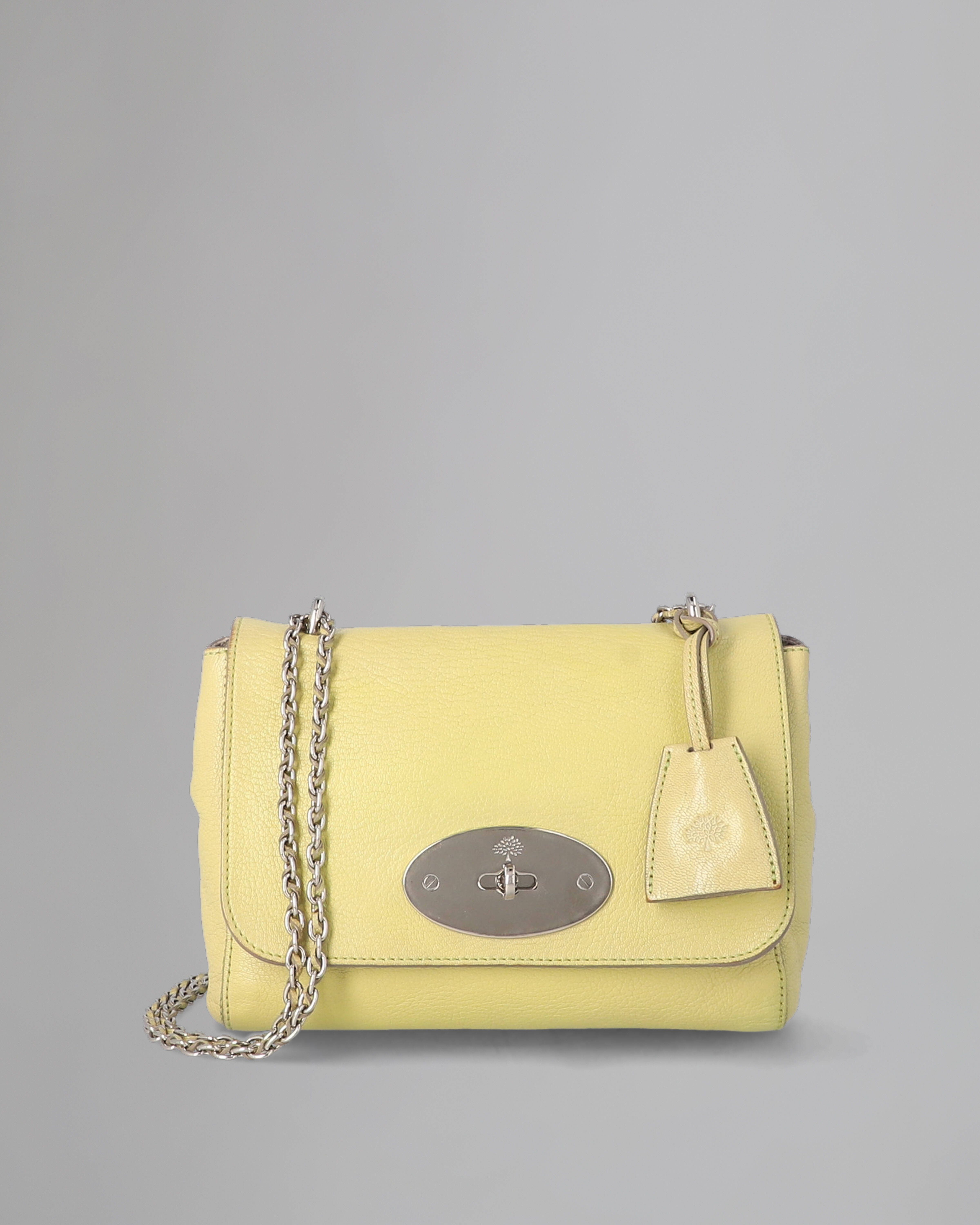 Mulberry | Lily | Pre-Loved | Pistachio Glossy Goat Leather | Pre 