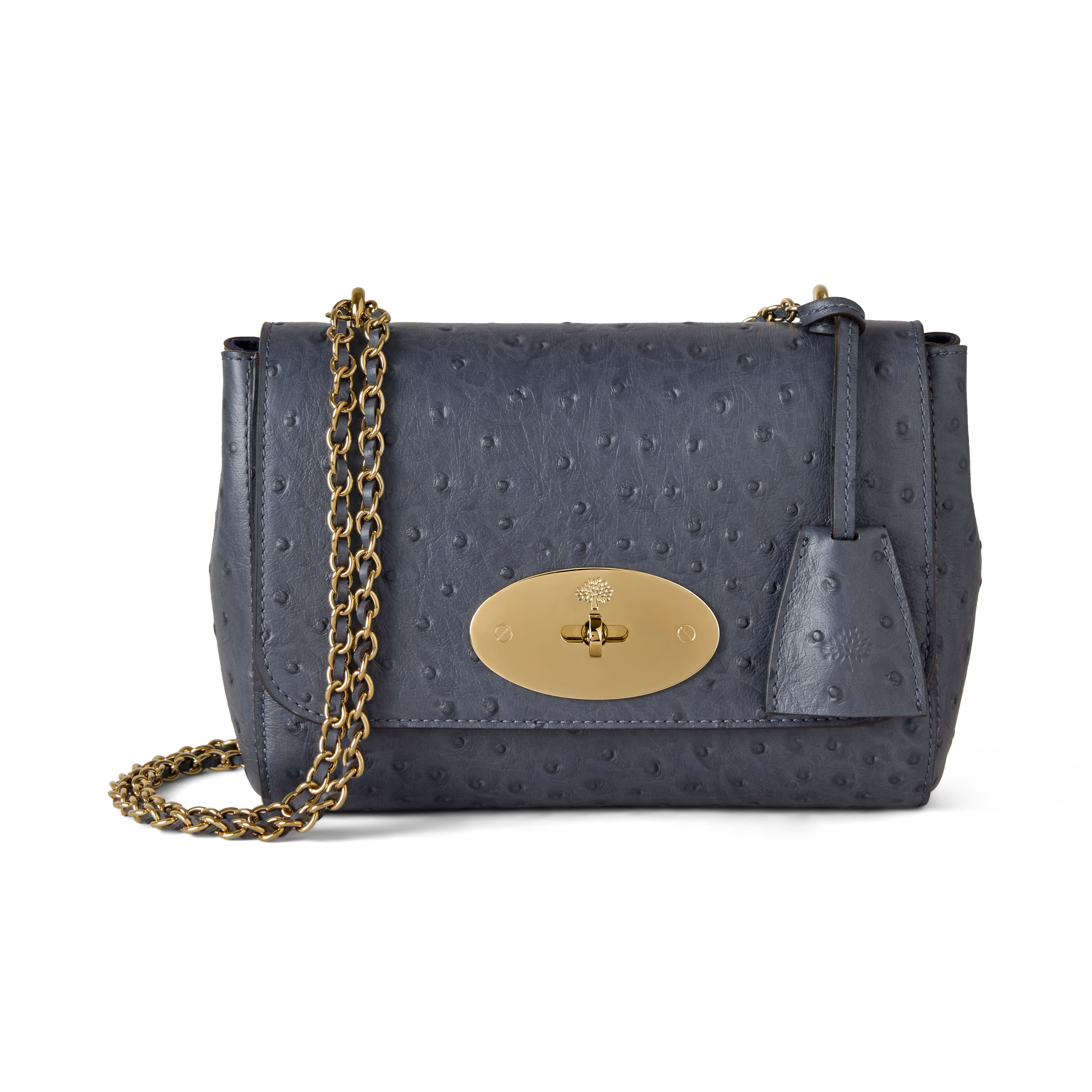 Mulberry Lily Ostrich Embossed Leather Satchel In Gray
