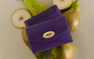 2 new mulberry pla