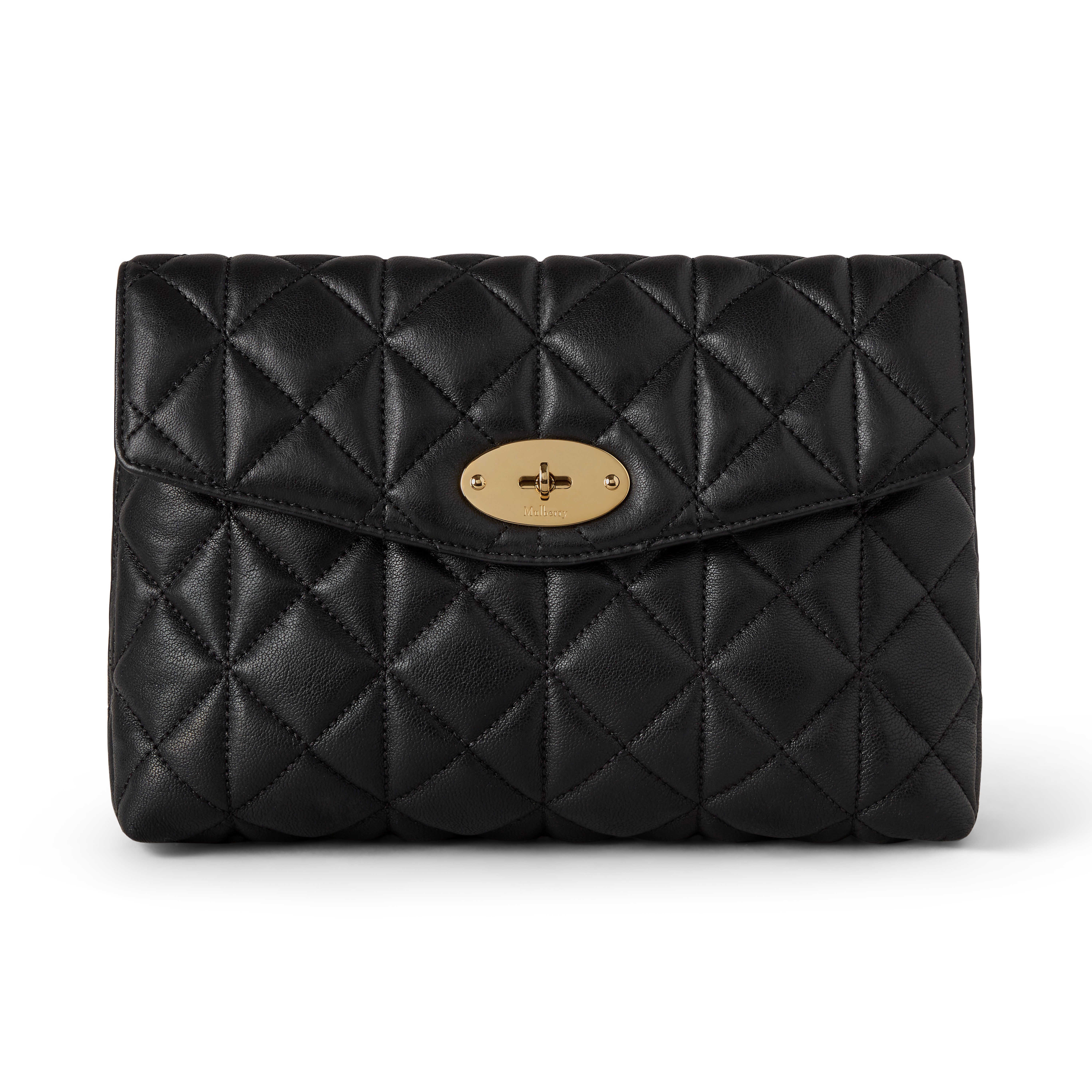 Mulberry Large Darley Cosmetic Pouch
