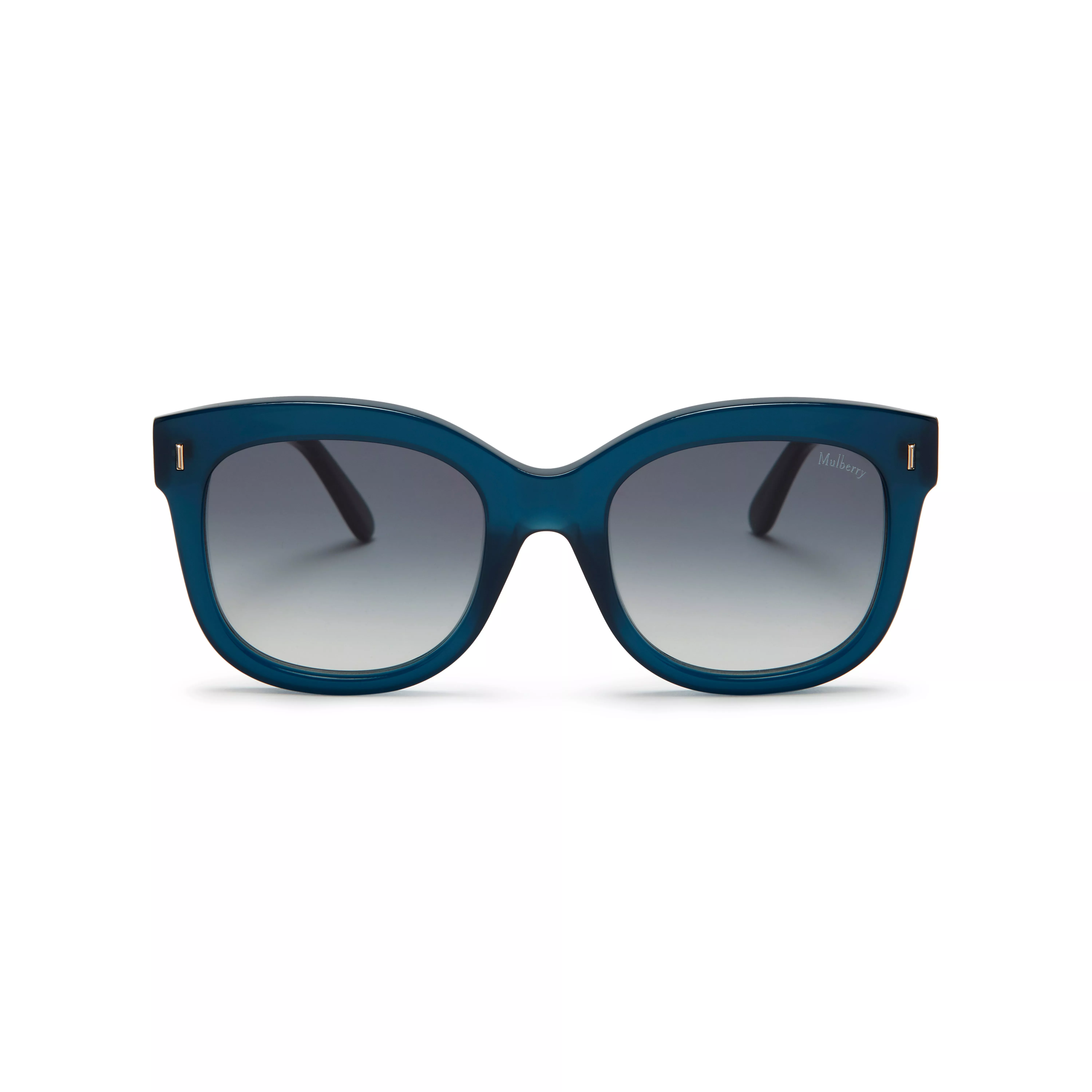 glasses sale edmonton