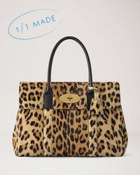 bayswater-limited-edition