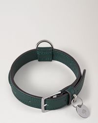 small-leather-dog-collar