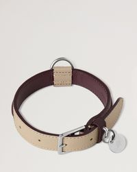 small-leather-dog-collar