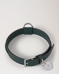 medium-leather-dog-collar